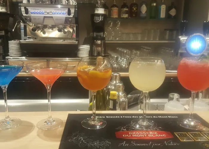 酒店 Du Rhone 塞塞尔